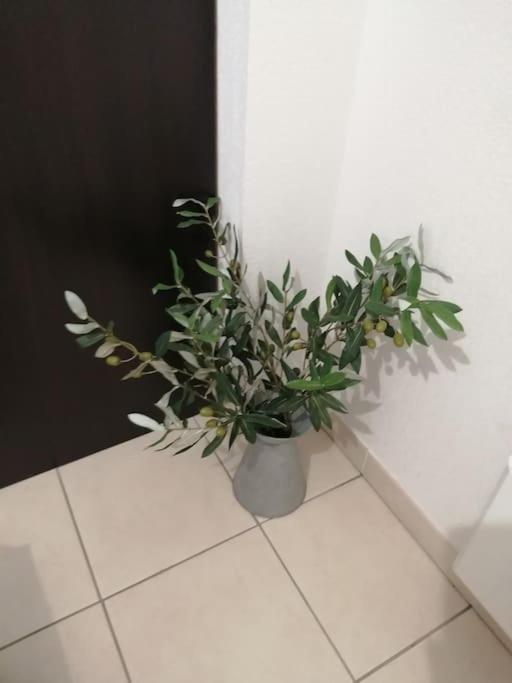 Le Soleil D Eugenie Appartement Dans Residence Avec Piscine Commune Pres De Carcassonne Olonzac Εξωτερικό φωτογραφία