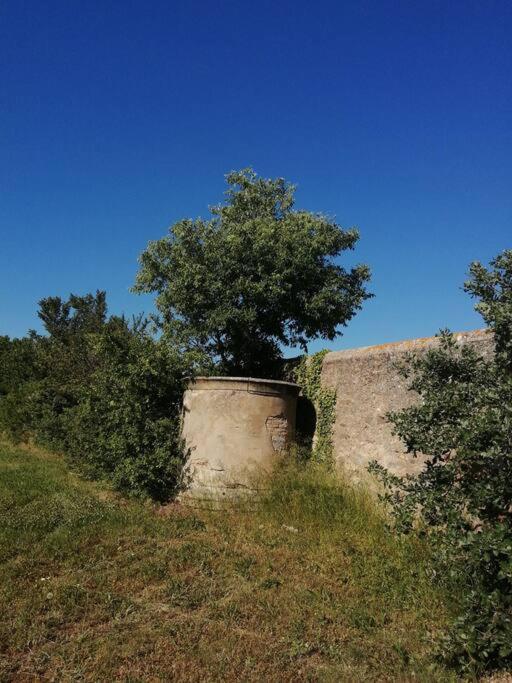 Le Soleil D Eugenie Appartement Dans Residence Avec Piscine Commune Pres De Carcassonne Olonzac Εξωτερικό φωτογραφία