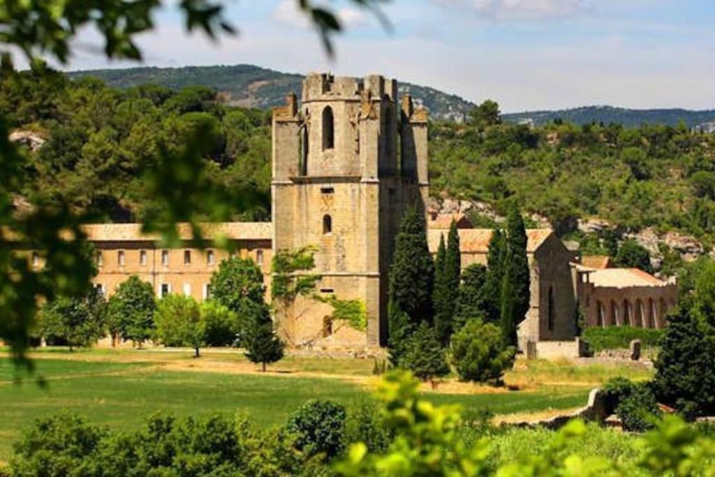 Le Soleil D Eugenie Appartement Dans Residence Avec Piscine Commune Pres De Carcassonne Olonzac Εξωτερικό φωτογραφία