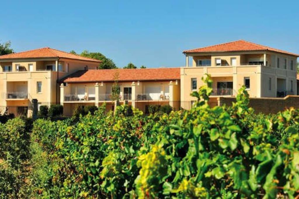 Le Soleil D Eugenie Appartement Dans Residence Avec Piscine Commune Pres De Carcassonne Olonzac Εξωτερικό φωτογραφία