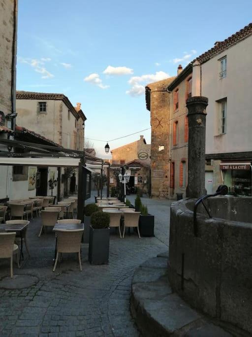 Le Soleil D Eugenie Appartement Dans Residence Avec Piscine Commune Pres De Carcassonne Olonzac Εξωτερικό φωτογραφία